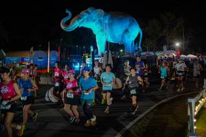 BIB: 
                            <button type="button" onclick="openModal(26552312)" class="btn btn-primary btn-sm float-right btn-popup" data-toggle="modal" data-target=".modal-high-quality">
                        <i class="fas fa-shopping-cart"></i> Add to Cart
                    </button>
                                            <button type="button" onclick="isThisMe(26552312, true)" class="btn btn-success btn-sm float-right btn-popup btn-isme hidden" data-toggle="tooltip" data-placement="bottom" title="นี่คือรูปของคุณใช่ไหม คลิกที่นี่เพื่อเอาเข้าอัลบั้ม">
                        <i class="fas fa-plus"></i> Add to album
                    </button>
                    <button type="button" onclick="isThisMe(26552312, false)" class="btn btn-warning btn-sm float-right btn-popup btn-isnotme hidden">
                        <i class="fas fa-ban"></i> Remove from album
                    </button>